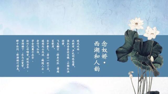  淡雅|淡雅荷花中国文化传统国学PPT模板