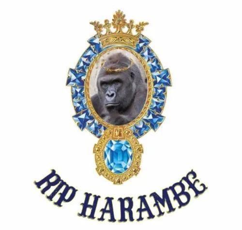  不造|他不造火箭和电动车的时候干了些什么？