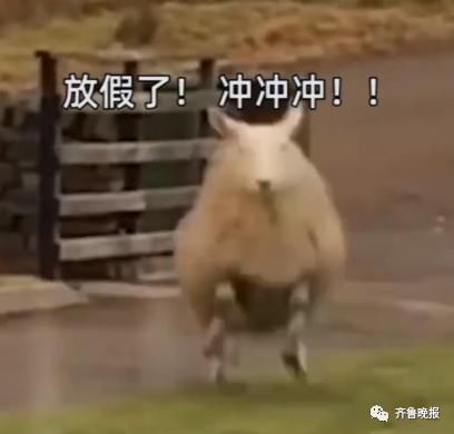 钱包|集体吐槽:假期被饭局安排了!你的钱包还好么?