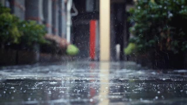 新一轮|还下？东明新一轮降雨来了，14天有11天在下雨...