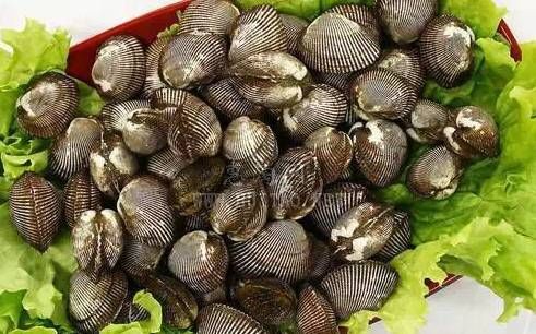 今日|今日开海!这84种海鲜,你都认识吗?你真的会吃海鲜吗?