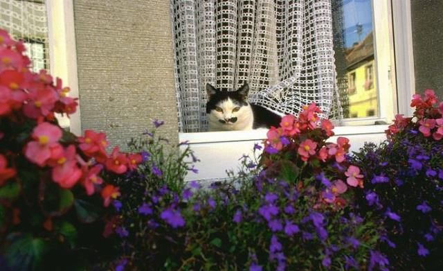  傻眼|老人被砸成重伤，家属索要15万赔偿，肇事者的身份让人傻眼