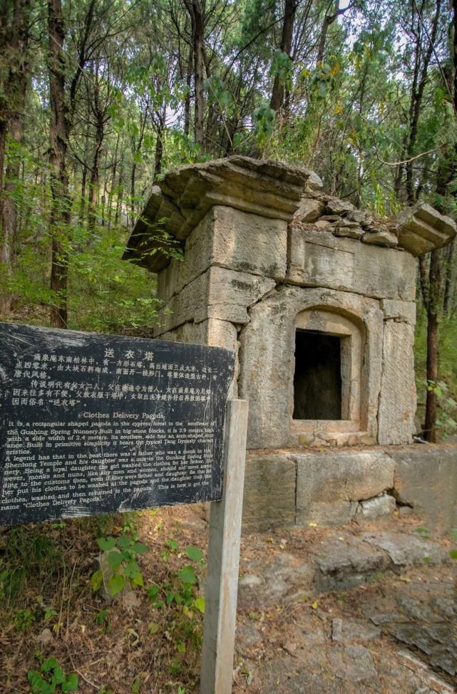  泉水|美得不像话！躲在郊外的隐士泉水，每一处风景都让人拔不动腿！