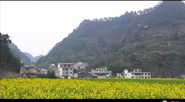  邪术|猎奇|湘西三大邪术之首，嫁给山神被拽入深渊的落花洞女