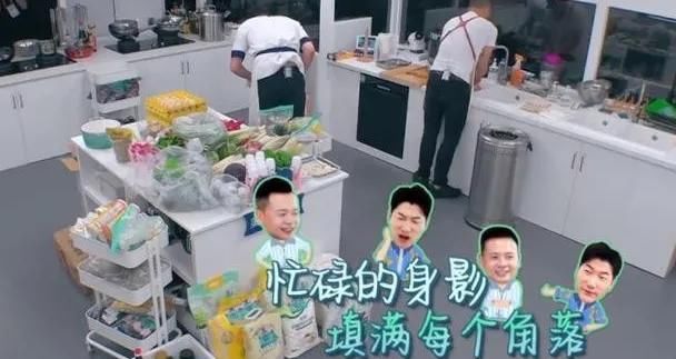  中餐厅|恶意剪辑、人设崩塌、演技尽毁，演员上综艺真是百害而无一利吗？