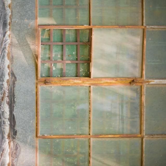 shui|陈燕:光不度,shui水成文