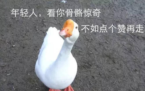  领导说话|职场干货——跟领导的相处之道