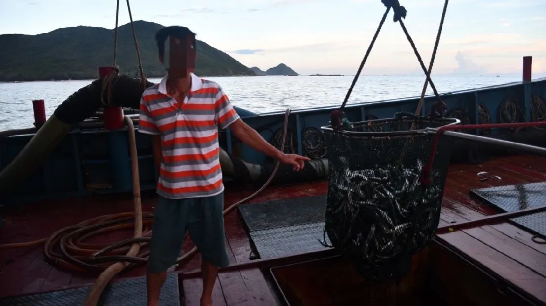 渔获物|海南三亚海警查获一起跨海区非法捕捞案件