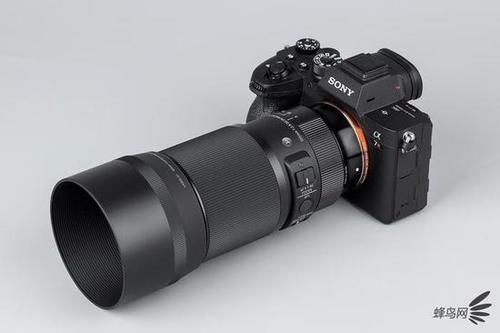  MACRO|“经典”的长焦微距 适马105mm F2.8 DG DN MACRO | Art评测