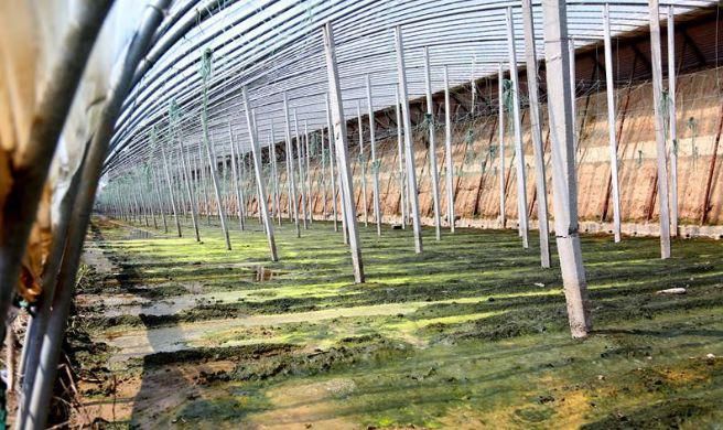  很快|十年农业九年赔钱，赚钱不易赔钱很快