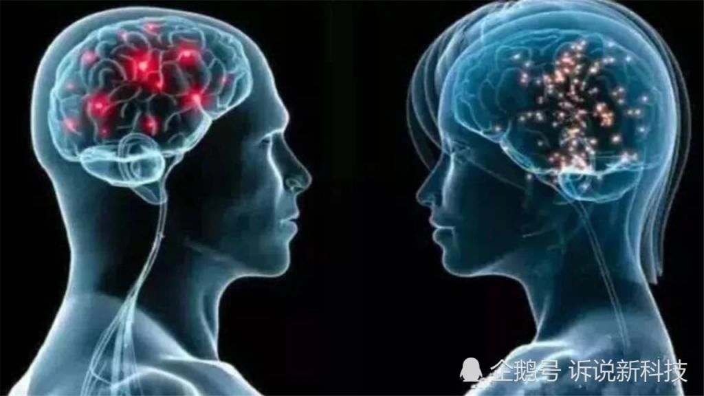  开发|人类大脑的开发，都受哪些因素的制约？为何如今只开发了1成？