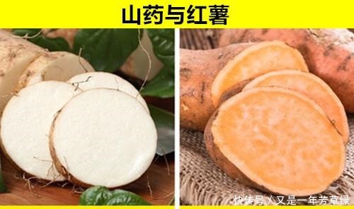 毒蘑菇|可能常常被人们混淆弄错的11对完全不同的食物