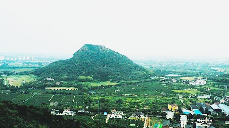 产销|品牌保护与产销指导并举阳山桃农：我们的生活比蜜桃还甜