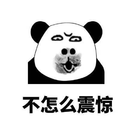  派出所|吃着萝卜和青草，派出所里过国庆，小家伙所里“玩恣啦”