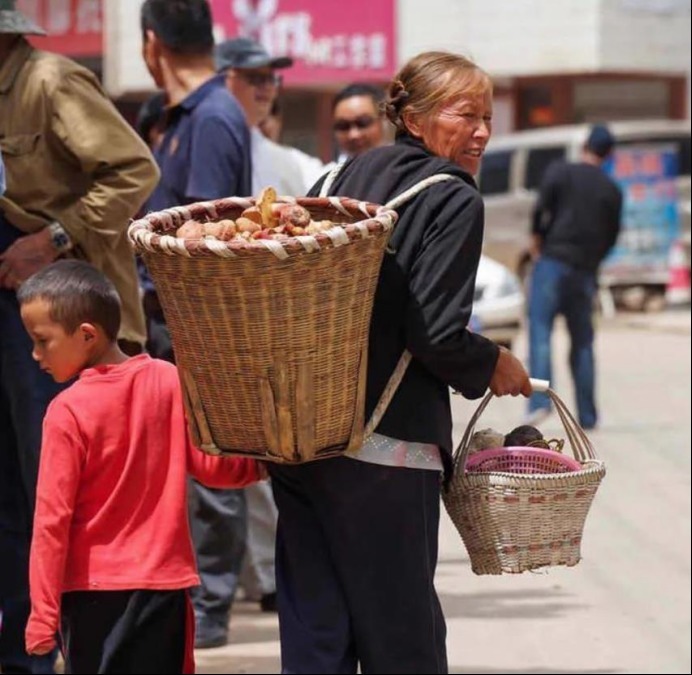 清醒|让人上瘾的毒蘑菇，中毒者出现幻觉却依然清醒，脑中有小人在跳舞