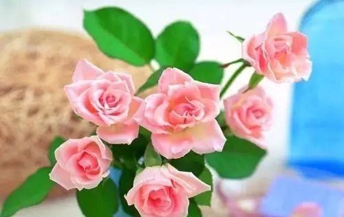  是累|有时候，真的是累了