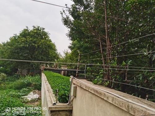 开发商|公共绿地被圈占，一占就是8年多