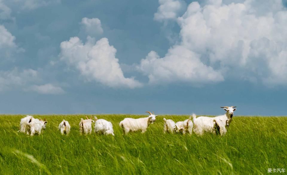 风雨雷电|贝子庙+中蒙边境+草原露营 乌珠穆沁 风雨雷电绿浪秘境行路书