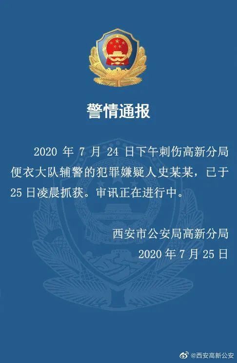 嫌疑人|悲痛！两名辅警带盗窃嫌疑人前往抓捕其同伙时被刺伤，一名辅警不幸殉职