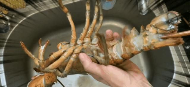 沉重|明日之后：价值300万金条，比喷气背包还贵重的神秘料理？