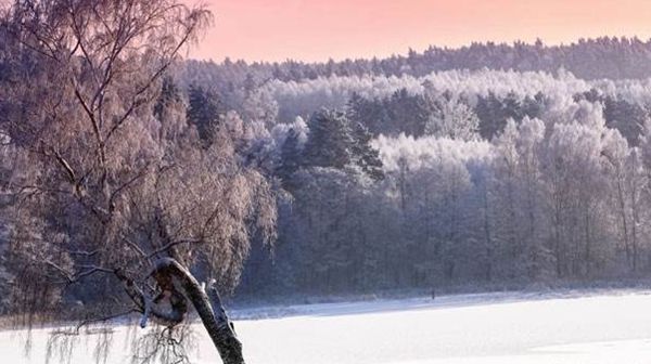  生肖|别自作多情，爱不爱一个人，这4大生肖都会表露在脸上！