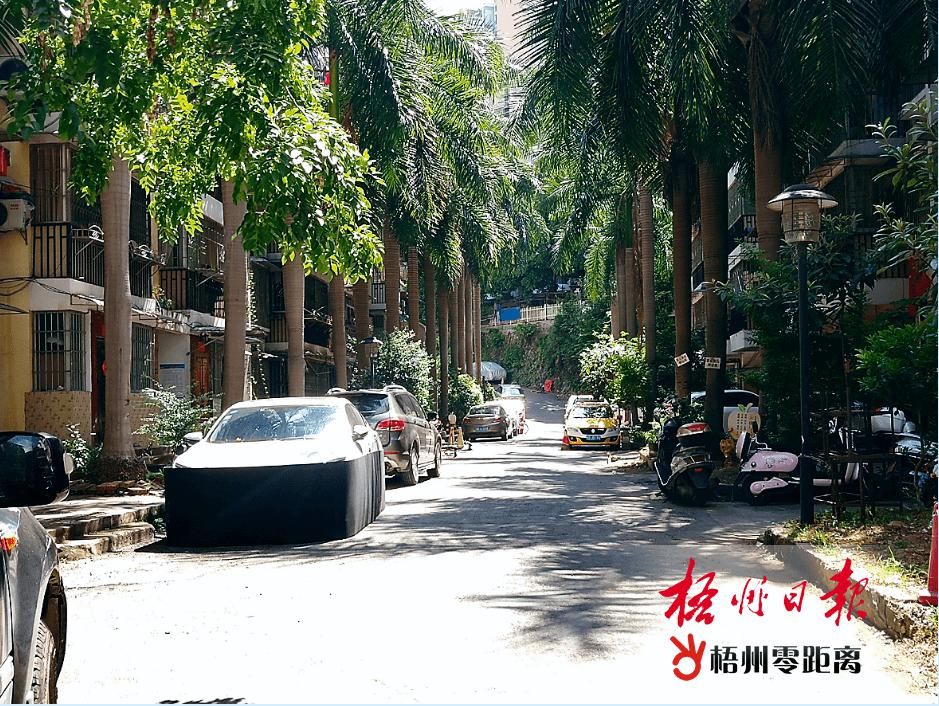  停放的两轮车|曝光梧州这些小区！“生命通道”被占用，一旦发生火灾，不敢想象……