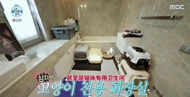  独居|顶流男神58亿独居豪宅大曝光，中韩网友全傻眼：猫也有独卫？！