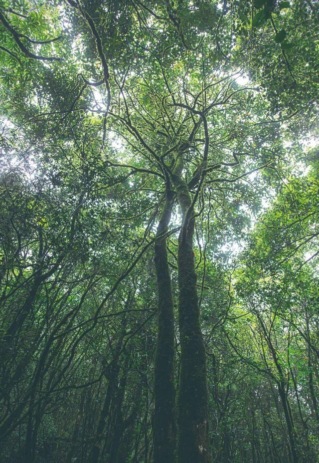 生长|云之南，一个生生不息、万物生长的地方