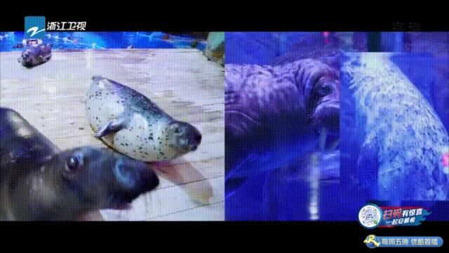  奔跑|今晚，继续跟着《奔跑吧》逛青岛！