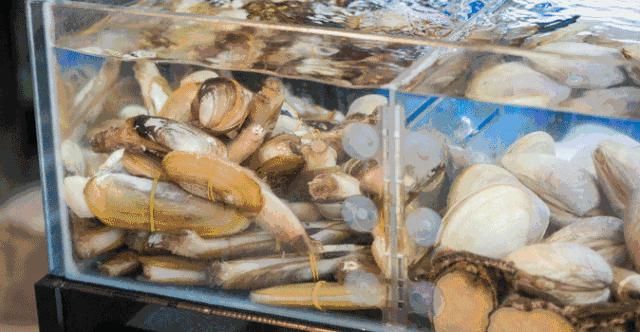 海鲜楼|海鲜楼、粤泰美食、潮菜……棠东让你胖三斤！