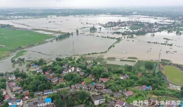 日记|网警抗洪日记——在中间