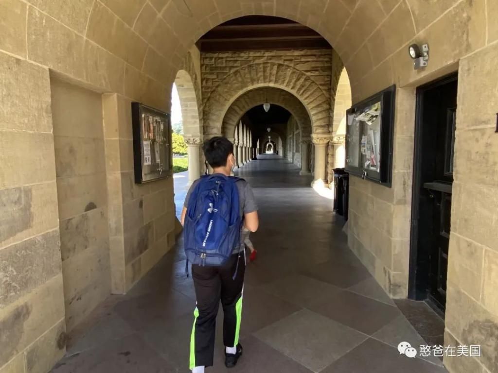  天赋|多少孩子的天赋，毁于父母的贪心和放弃