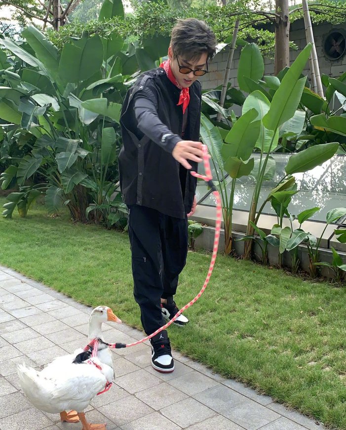  教导|《潮玩人类在哪里》路透，吴亦凡当街遛鹅，还教导鹅不要乱吃草
