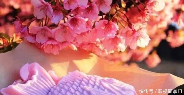 春天|春天的食樱，日本的美味佳肴