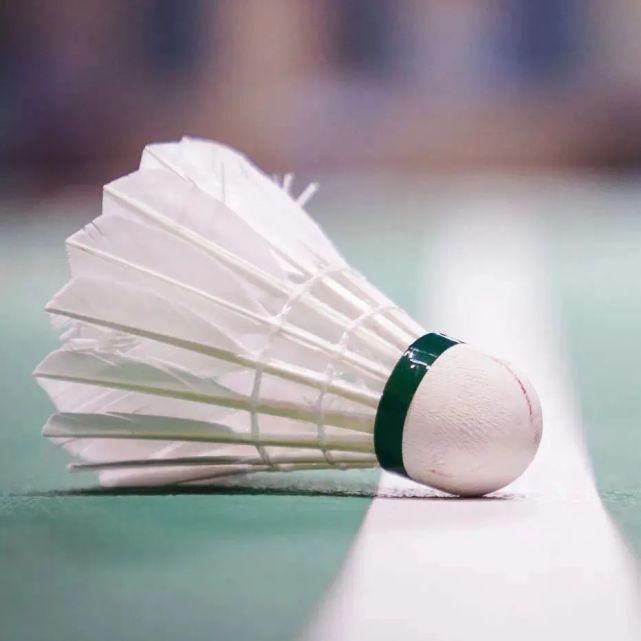 笑料|快问快答|默契十足、笑料百出的“茵玥组合”上线!