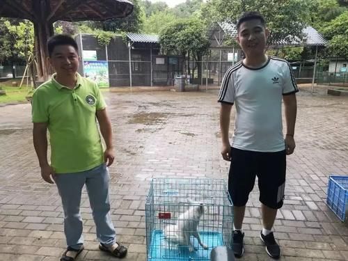  地下停车场|看！乐和城来了只狡猾的狐狸！