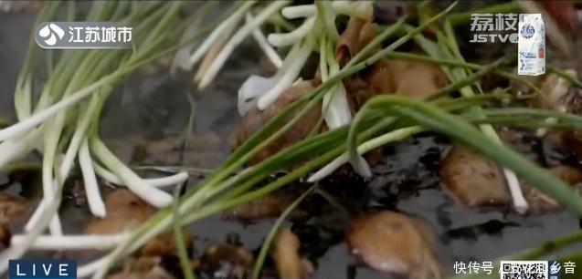 面条|“2020江苏十大面条品牌”揭晓!镇江锅盖面上榜,非常抢眼!