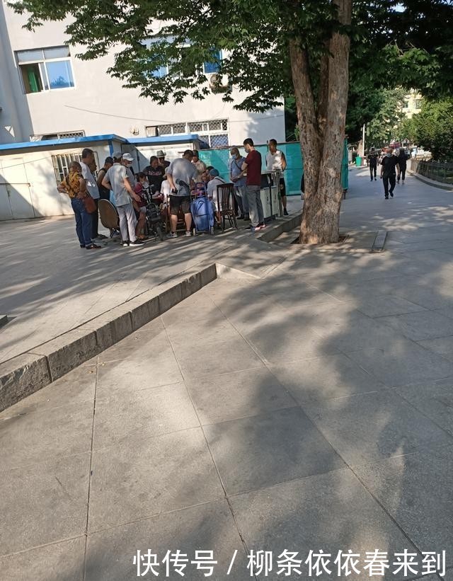  老人|公园变成了老人的棋牌室.有人管理，有人占地盘，一天1千