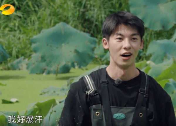  向往|《向往的生活》重大失误：何炅带头挖藕，为节目效果而糟蹋粮食
