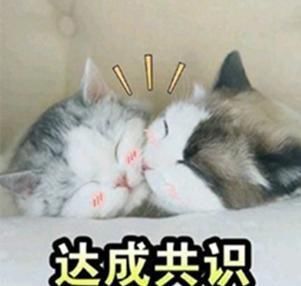  光明记忆|1小时内就能通关的“超短流程游戏合辑”，来试试你要多久？