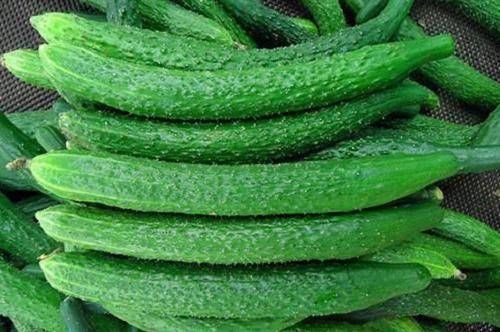  生长|“激素”黄瓜不要买，认准这4点，一眼辨就能辨出，再便宜也不要