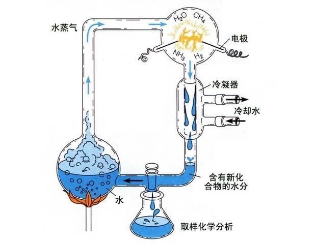  化石|生命起源于何处？陨石中发现古微生物化石，地球形成前或已存在