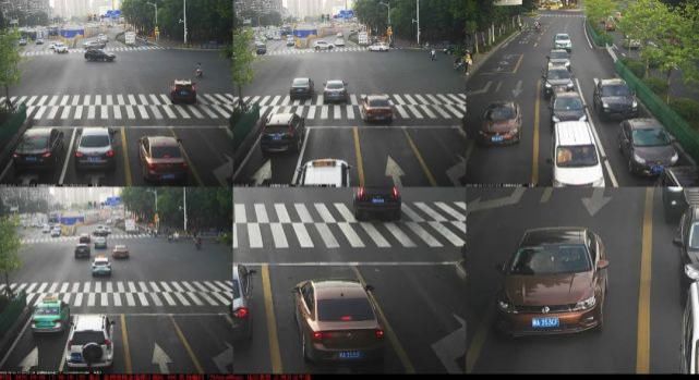 占用公交|闽AV256F、闽ASH677……一大批闽A车被曝光！