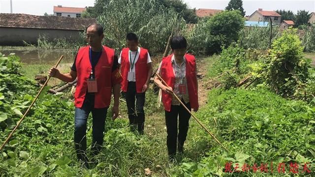 鼓泡泡|武惠堤上有个“土”专家团，闲时忙农活汛期上堤防