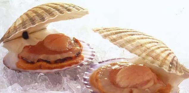 今日|今日开海!这84种海鲜,你都认识吗?你真的会吃海鲜吗?