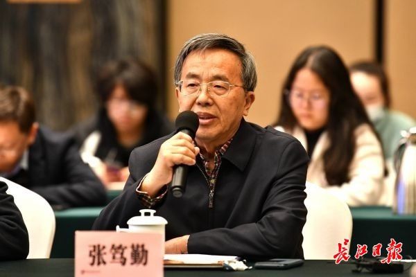 “在武汉 读长江”，专家建议打造长江文化资源数据库