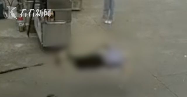  宠物狗|宠物狗街头狂奔，路边老人被狗绳绊倒身亡