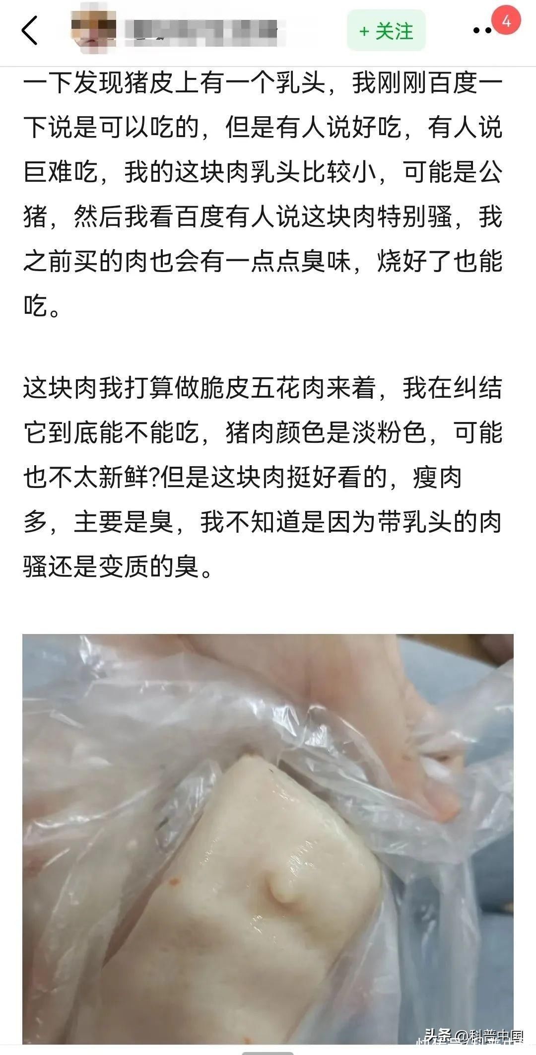 买的五花肉有乳头能要吗(救命！买到了一块带乳头的五花肉，怎么办？)