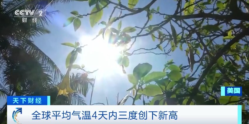 全球平均气温4天三破纪录，这里最高温已近50℃！