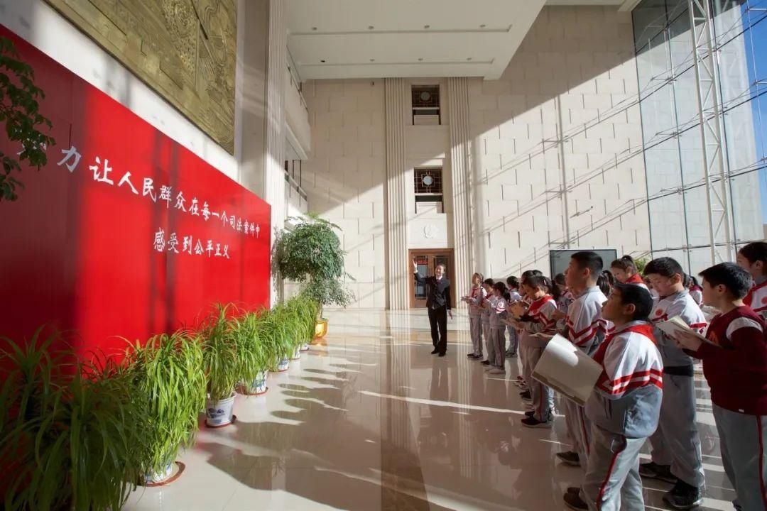 法院|法院里，也有一群老师